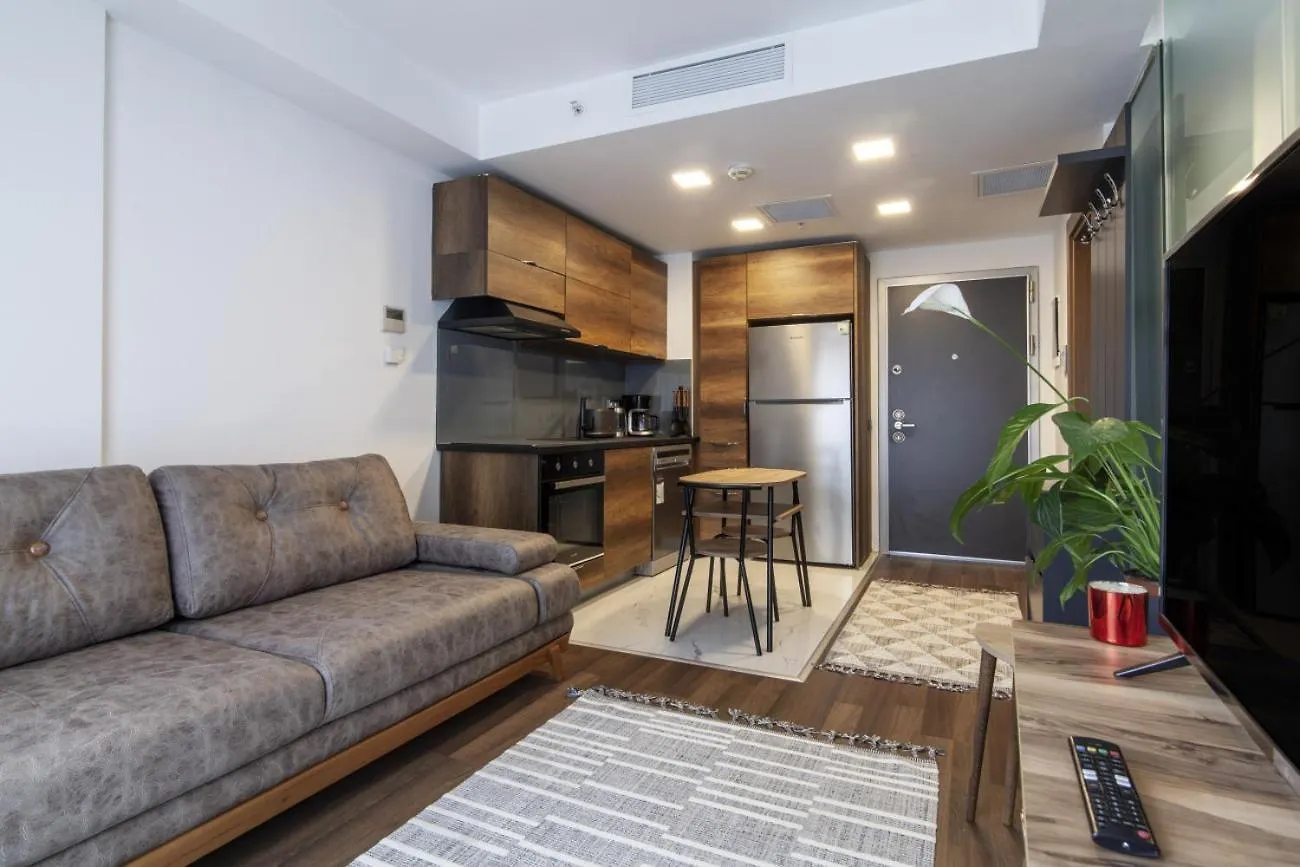 Residence Flat With Excellent Location In Sisli Istanbul 0*,